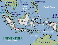 �C���h�l�V�A�S�}