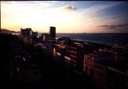 �T���_�J���̗[�i