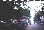 �A�J�V�A�̒ʂ�