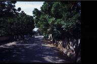 �z�e���̎���