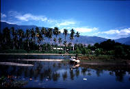 �͌��̕��i