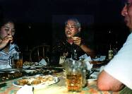 �C���h�l�V�A�̌{�͔�����